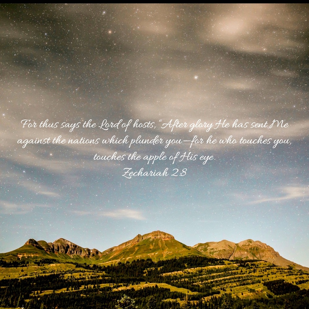 Zechariah 2:8